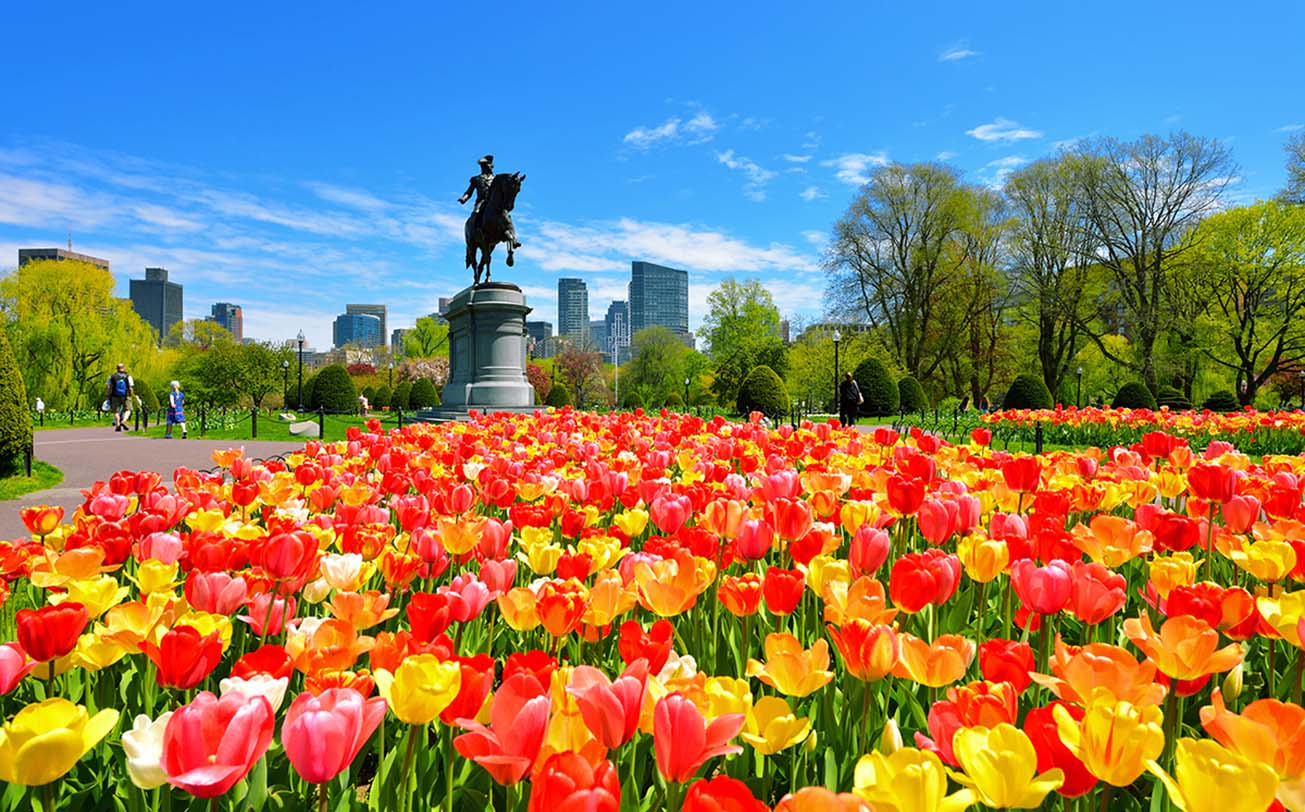 Travel Tips: Unveiling Practical Advice for an Unforgettable Trip to Boston